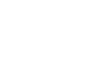 SoulNext